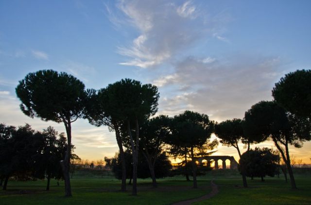 2015 il Convegno<br /><strong>Sibelius e l’Italia</strong><strong><br /></strong>