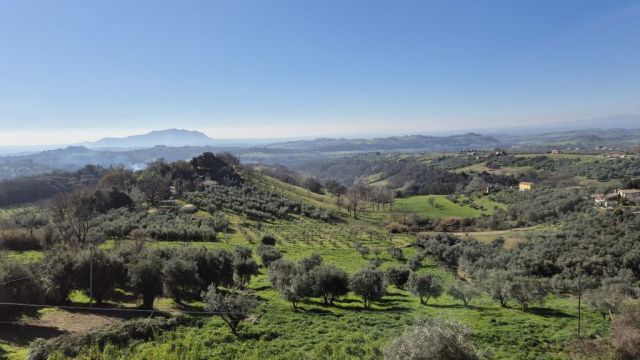 <strong style="border: 0px; margin: 0px; padding: 0px;">La via dell’Anima 2025 </strong>/<strong style="border: 0px; margin: 0px; padding: 0px;"> </strong>Capece450<strong style="border: 0px; margin: 0px; padding: 0px;"><br /></strong>ROMA, 23 marzo  
